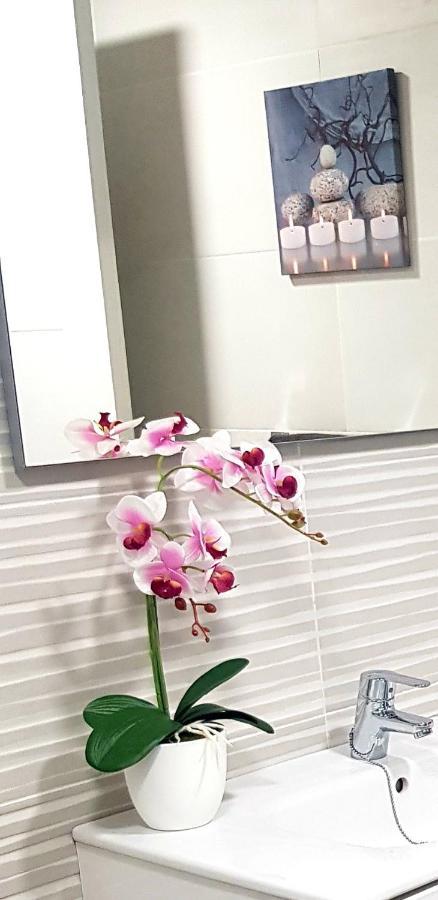 Loft Apartamento Sevilla 16 Alicante Ngoại thất bức ảnh